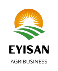 Eyisan Agro Smart City